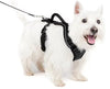 PetSafe Easy Sport Harness