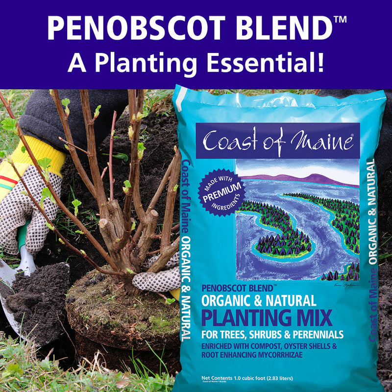 Compost and Peat Penobscot Blend by Coast of Maine