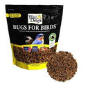Wild Delight Bugs for Birds