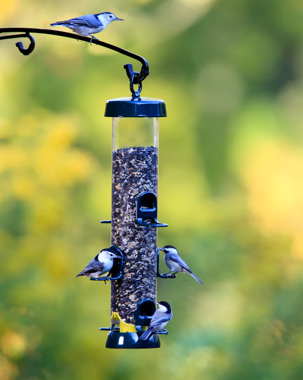 Tube Solution 200 Bird Feeder - Tube Bird Feeder Cartridges