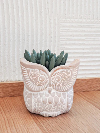 Korissa Handmade Terracotta Pot