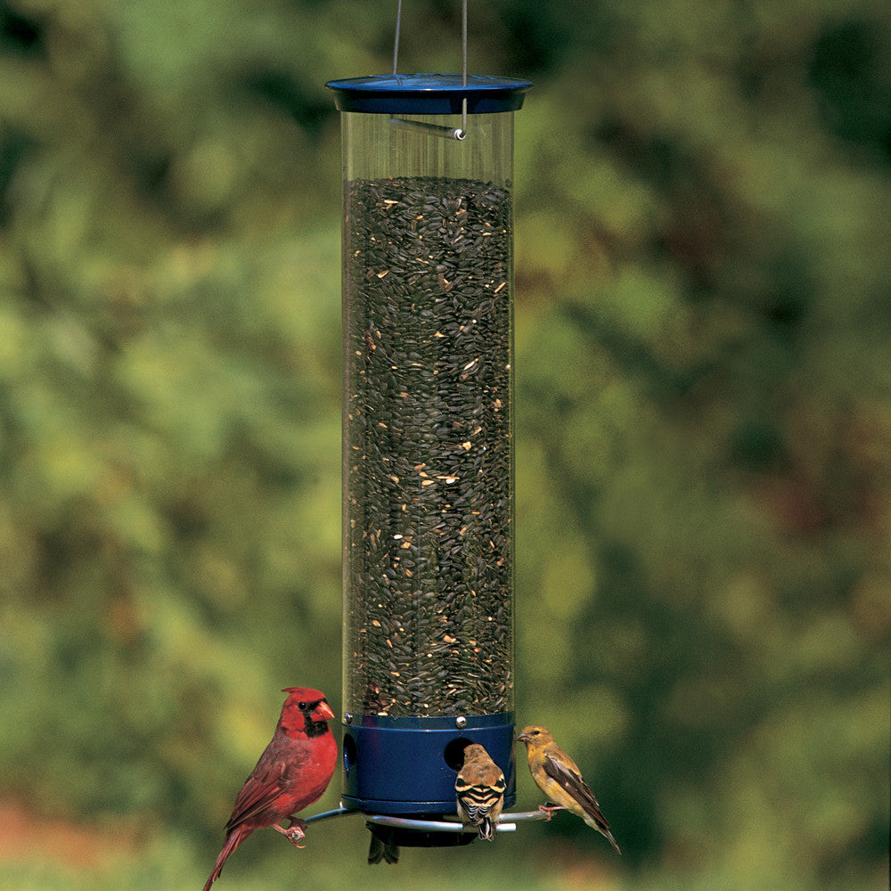 Yankee flipper bird deals feeder