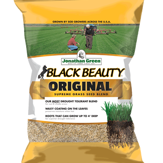 Black Beauty Original Grass Seed by Jonathan Green