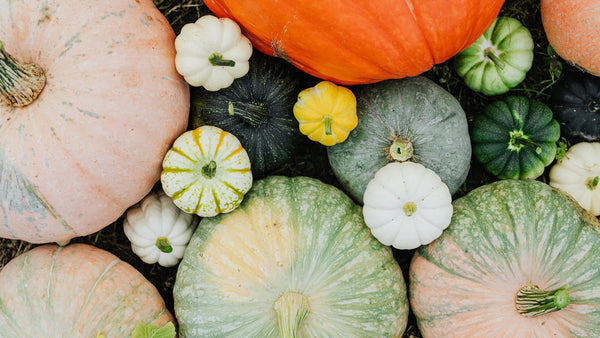 5 New Ways to Use Pumpkins on your Porch