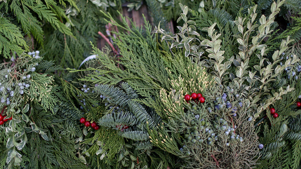 How to Have Beautiful Porch Pots all Winter