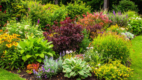 Low-Maintenance Plants for Busy People: Spring Edition