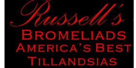 Russell's Bromeliads