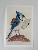 Backpacking Blue Jay Print