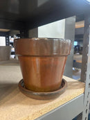 Lotus International Pots
