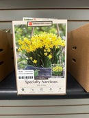Assorted Fall Bulbs