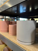 Lotus International Pots