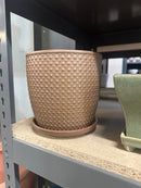 Lotus International Pots