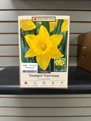 Assorted Fall Bulbs
