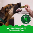 Greenies Original Dental Treats - Large