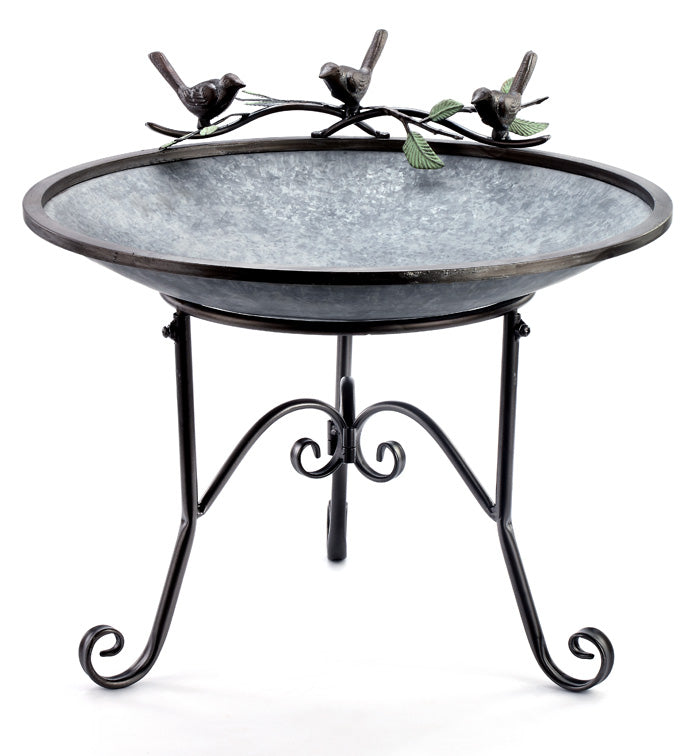 Table Bird Bird bath