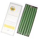 12" Taper Candles by Mole Hollow