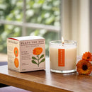 Plant the Box Candle-Catalan Calendula