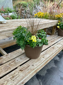 14"  Fall Combination Planter