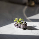 Baby Violet Mini Blobhouse Planter