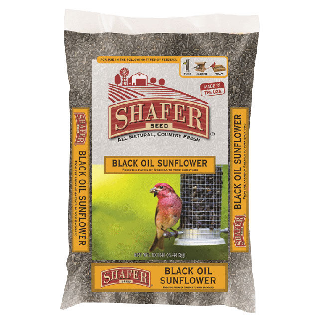 Black Oil Sunflower Seed 40lb