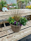 14"  Fall Combination Planter