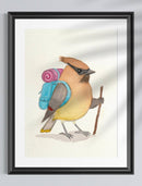 Backpacking Cedar Waxwing Print