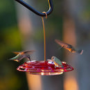 3-in-1 Hummingbird Feeder