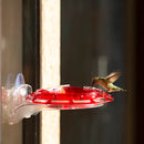 3-in-1 Hummingbird Feeder