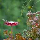 3-in-1 Hummingbird Feeder