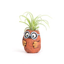 Owlbert the Owl with Glasses Blobhouse Planter
