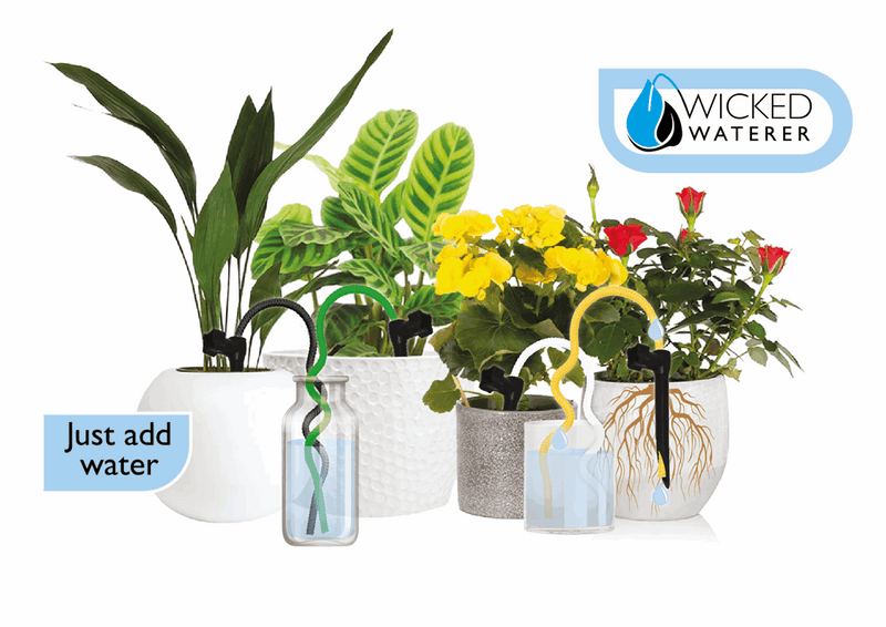 self watering plant kit Four Spike Water Kit