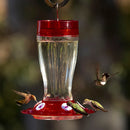 Big Gulp® Glass Hummingbird Feeder with Ant Moat