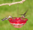 HummBlossom Hummingbird Feeder
