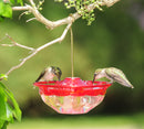 HummBlossom Hummingbird Feeder