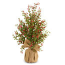 Red Berry Tree