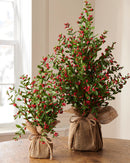Red Berry Tree