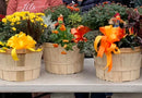 Fall Basket Planter Workshop September 19, 2026 10 AM