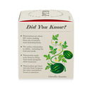 Plant the Box Candle-Ripe Watermelon