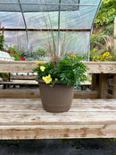 14"  Fall Combination Planter