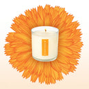 Plant the Box Candle-Catalan Calendula