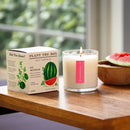 Plant the Box Candle-Ripe Watermelon