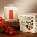 Plant the Box Candle-Wild Tomato Vine