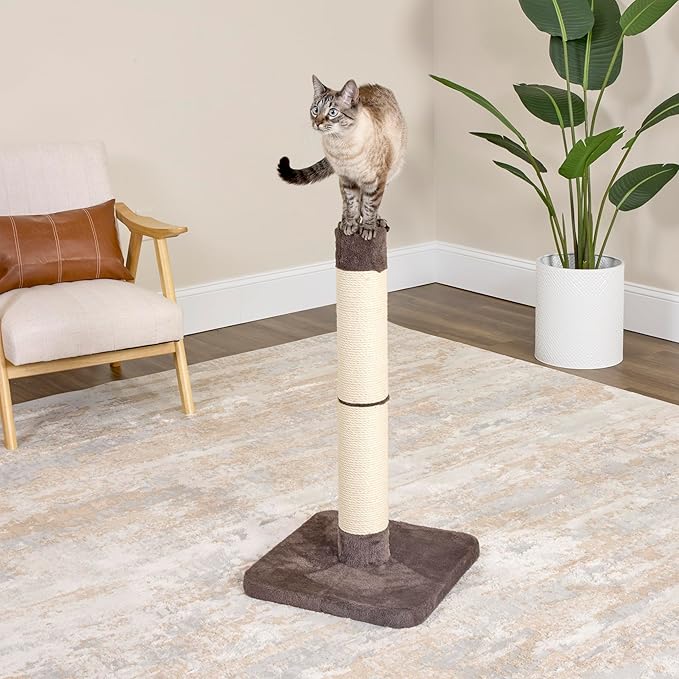 Midwest Nuvo Forte Cat Scratching Post