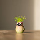 Baby Hummingbird - Mini Blobhouse Planter - Bitty