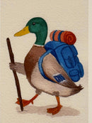 Backpacking Mallard Art Print