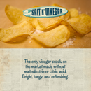 Beef Tallow Potato Chips - Salt N' Vinegar