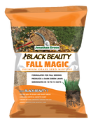 Fall Magic Grass Seed by Jonathan Green