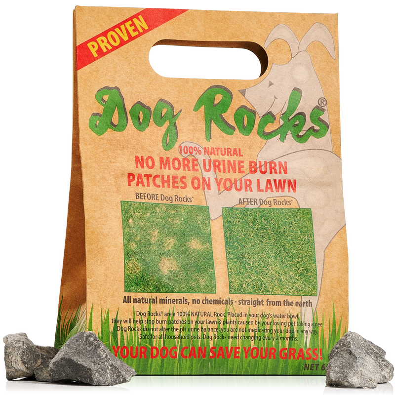 Dog Rocks