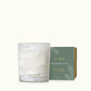 Thymes - Frasier Fir Collection