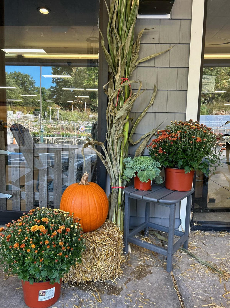 Fall Doorstop Harvest Kit